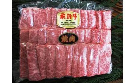 飛騨市推奨特産品 飛騨牛 5等級 カルビ 焼肉用 500g [AW016]