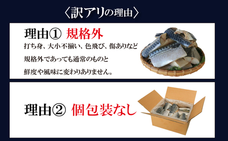 訳あり 塩サバ 切り身 約3kg (約40切前後入り) 冷凍 鯖 塩 さば 魚 さかな 海鮮 海産物 おかず サバ 鯖ご飯 おすすめ 人気 さば サバ 鯖 魚 魚介 海鮮 惣菜 塩サバ 塩鯖 焼き鯖 