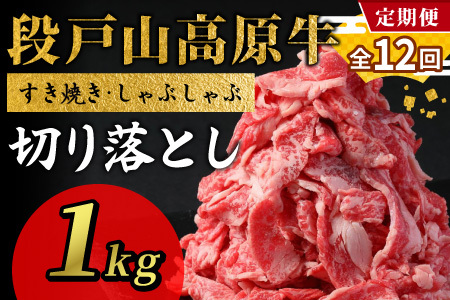 【全12回 定期便】 段戸山高原牛 切り落とし 1kg (200g×5）定期便 牛肉 肉 国産牛 焼肉 すき焼き しゃぶしゃぶ 不揃い 冷凍 愛知県 設楽町 国産 牛肉 牛 スライス 小分け 大満足 赤身 数量限定 牛肉切り落とし 牛切り落とし sukiyaki niku 蓬莱泉 牛丼 牛 酒粕育ち 定期便 ブランド牛 -232