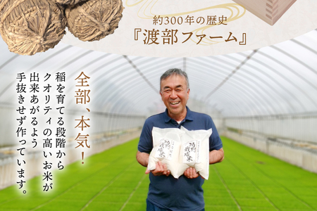 米 定期便 6回 令和7年産 特別栽培米 ミルキークイーン 5kg 6回 計30kg [渡部ファーム 山形県 高畠町 tk06ays810009]