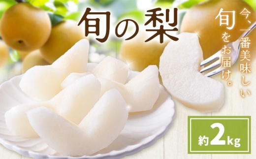 先行予約 旬の梨 梨 約2kg 株式会社エフビーネット《8月上旬-10月下旬頃出荷》熊本県 氷川町 果物 フルーツ 熊本県産 青果物 和梨 ジューシー