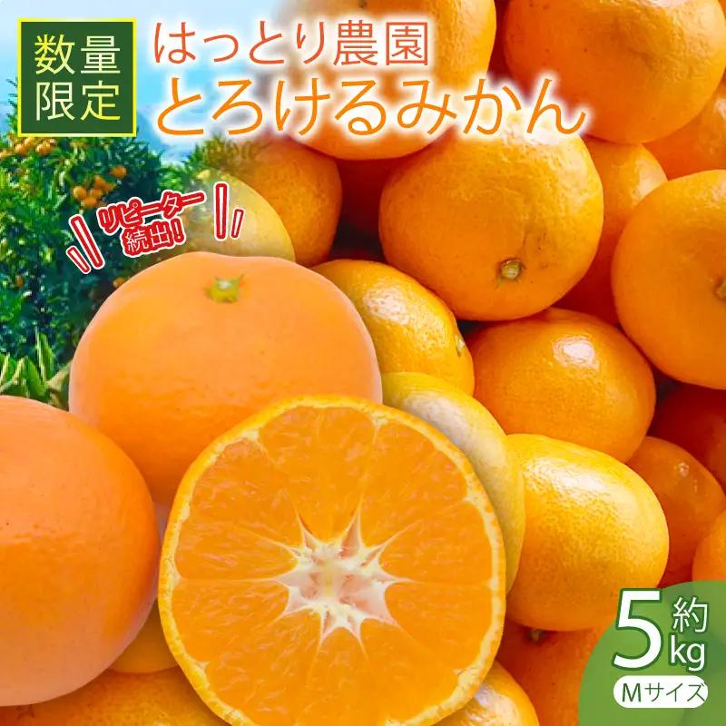 とろけるみかん 安田町 生まれ はっとり育ち とろけるみかん 5kg 5キロ Mサイズ HT-14