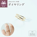 【ふるさと納税】 リング 指輪 ジュエリー レディース アクセサリー ダイヤモンド 0.018ct K18 イエローゴールド プレゼント ギフト ギフトボックス 保証書付 k220-012