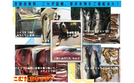 ふぃっしゅへぶん 中大型犬用 ペットフード（まぐろ 80g 1袋・かつお 80g 1袋・ぶり 80g 1袋）冷蔵