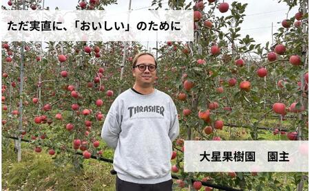 秋映　5kg　りんご リンゴ 林檎 果物 フルーツ 長野