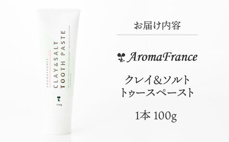 クレイ＆ソルト トゥースペースト 100g 1本 歯磨き粉[AOEP002] 歯磨き粉