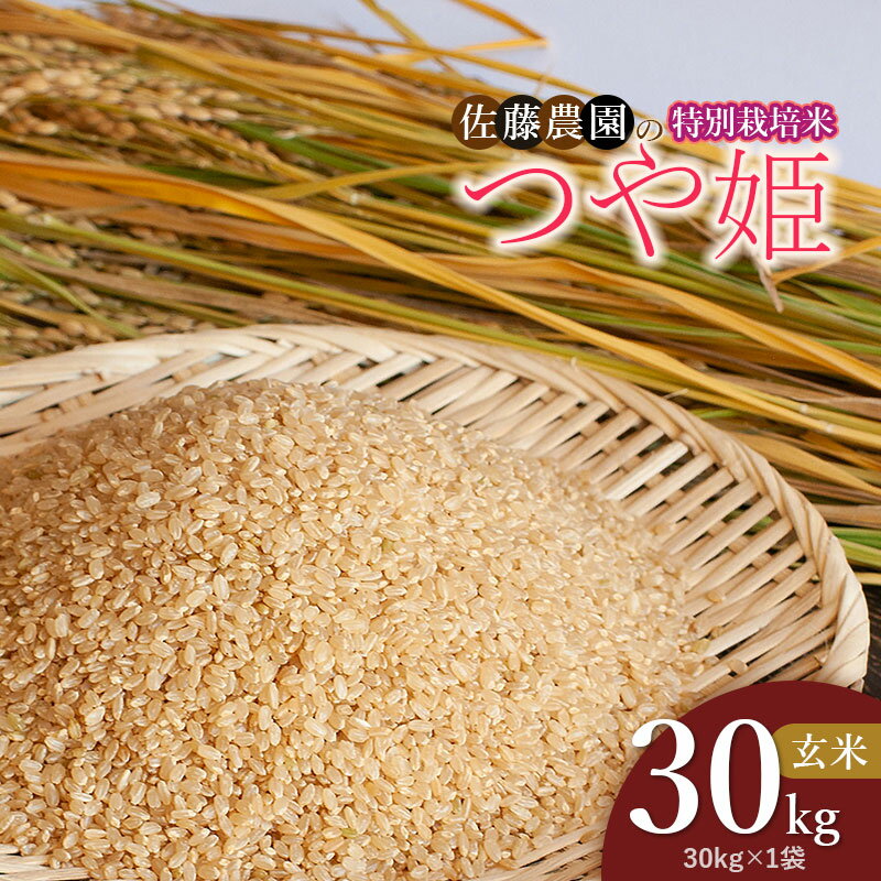 【ふるさと納税】令和7年産【新米】山形県鶴岡市産 特別栽培米 つや姫 玄米 30kg（30kg×1袋）　佐藤農園
