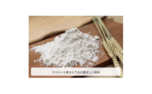 スペルト小麦精製粉【1775340】