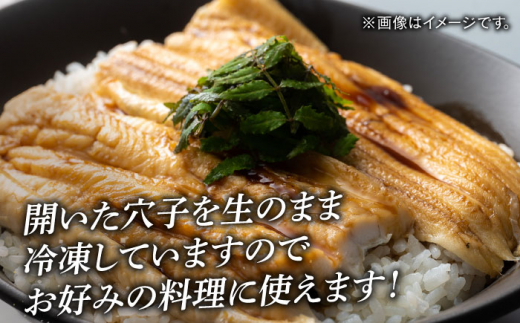 【全6回定期便】対馬 穴子 開き 800g《対馬市》【海風商事】アナゴ 国産 九州 長崎 [WAD045]冷凍 新鮮 あなご 天ぷら もう1品 おかず 肉厚 穴子重 開き 海鮮 魚介 簡単調理 時短 