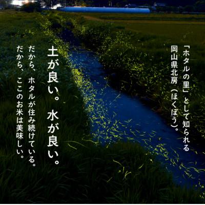 ふるさと納税 津山市 【令和7年産】きぬむすめ 岡山ほたる米 精米5kg (岡山県産)新米 産地直送 《数量限定》 |  | 02