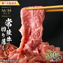 【ふるさと納税】【 選べる 配送月 】 常陸牛 切り落とし 合計 800g ( 400g × 2袋 ) 使いやすい 小分け パック A4 A5 ランク 8月 12月 2月 茨城県共通返礼品 黒毛和牛 国産黒毛和牛 和牛 国産 牛肉 牛 お肉 肉 ひたち牛