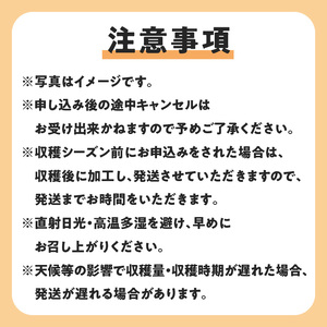【W051-007u】【先行受付】沖永良部島の甘くて美味しい無添加ドライフルーツ（パパイヤ）30ｇ×３袋