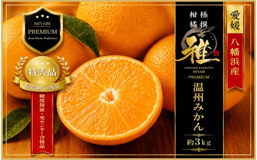 【先行受付】極撰柑橘＜雅プレミアム＞糖度保証・光センサー合格品「八幡浜温州みかん」約3キロ＜C39-63＞【1614679】 YWTF038