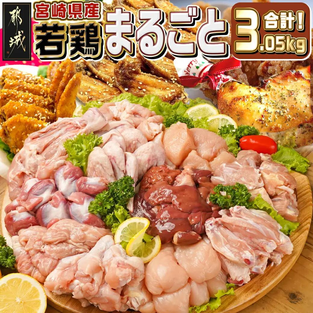 宮崎県産若鶏まるごと3.05kgセット_14-M601_(都城市) 宮崎県産若鶏 真空パック もも切身 むね切身 筋なしささみ 砂肝 肝 手羽先 手羽中 手羽元 肩肉 小肉 骨付きもも