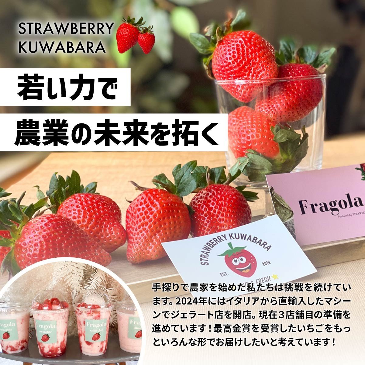 いちご やよいひめ (贈答用) 約800g 群馬県いちご品評会最高金賞受賞