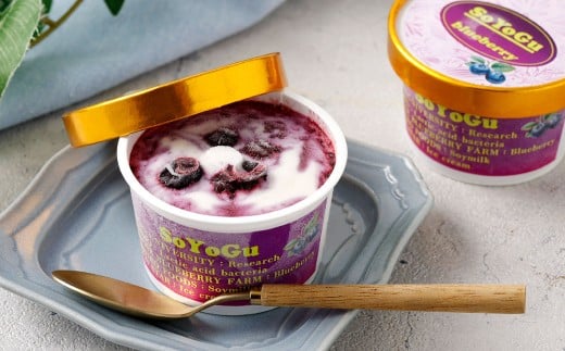 SOYOGU8個セット ブルーベリー 豆乳 8個 阿蘇 アイス 熊本県産