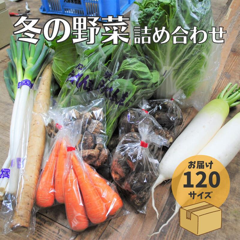 【ふるさと納税】 新見市産 冬の野菜詰め合わせセット 野菜セット 白菜 キャベツ ごぼう 長ネギ 人参 大根 さつまいも 里芋 ほうれん草 水菜 春菊 小松菜