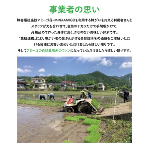 【新米先行予約】【2025年11月中旬頃順次発送予定】令和7年産 新米 2kg アミーゴ米 【白米】（コシヒカリ・自然栽培米（７年目）・天日干し米）｜茨城県 大子町 袋田 米 精米 おだがけ米 はざが