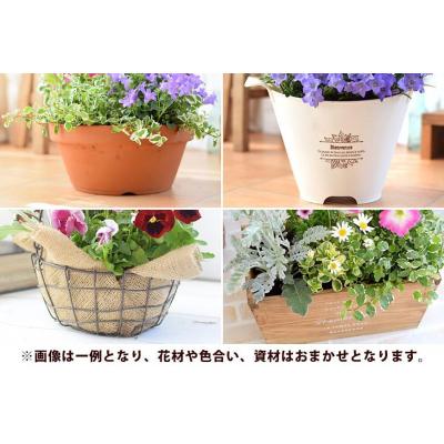 ふるさと納税 徳島市 【定期便 全3回】季節のお花　おまかせ寄せ植え【FP007】 |  | 02