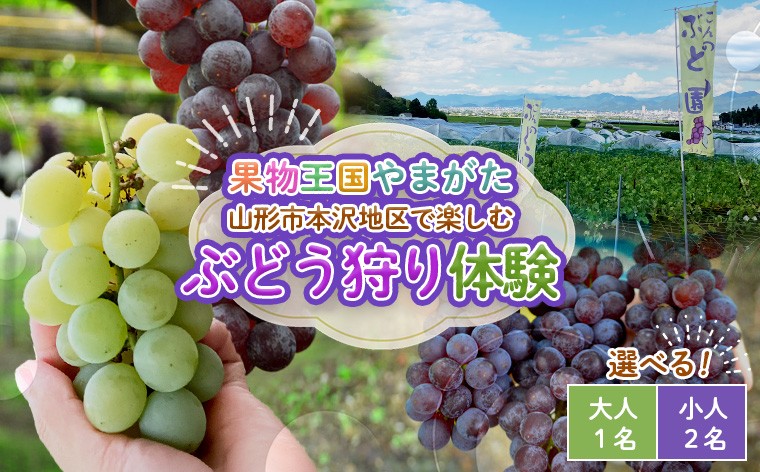 
                  時間無制限！ぶどう狩り体験 (大人1名or小学生以下2名利用)
                
