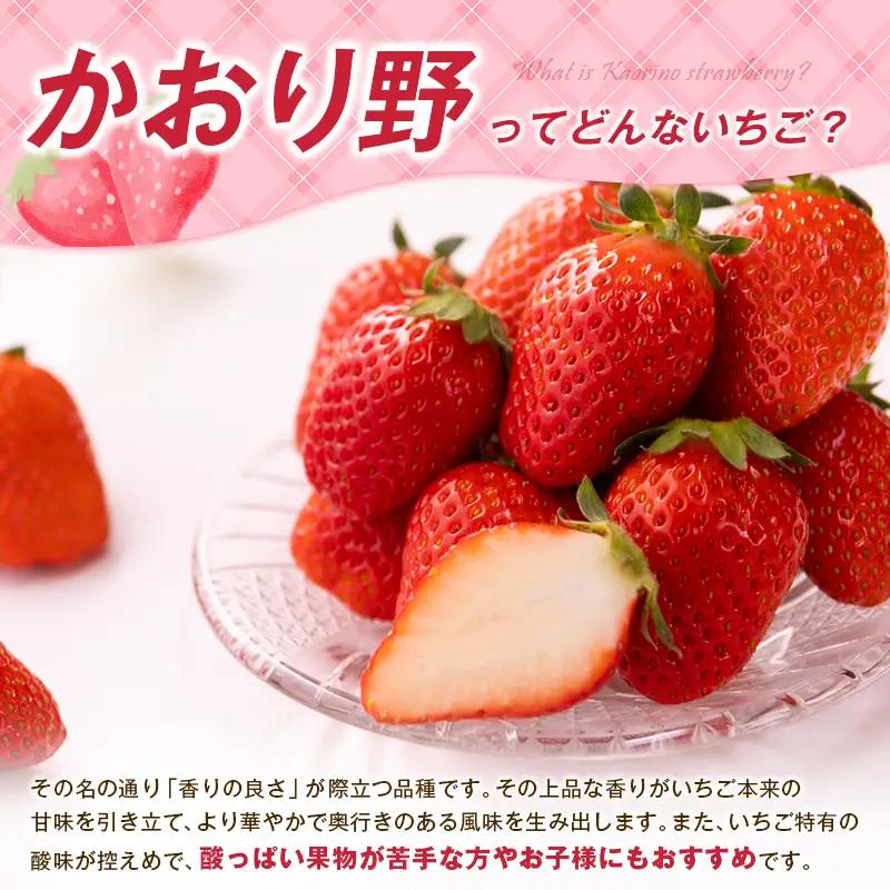 ＜2027年出荷＞先行予約 宮崎県産 いちご「かおり野」計1kg フルーツ 期間限定 デザート ご褒美【B700】