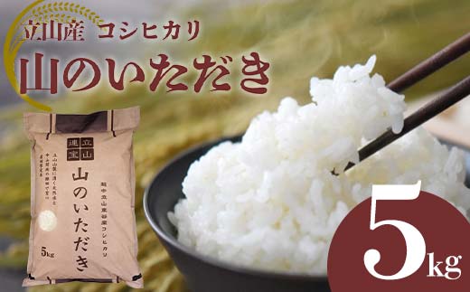 
立山産コシヒカリ 山のいただき 5kg コシヒカリ 銘柄米 ブランド米 国産 米 お米 日本米 ギフト 贈り物 備蓄 防災 食品 昆虫王国立山 立山自然ふれあい館 F6T-518
