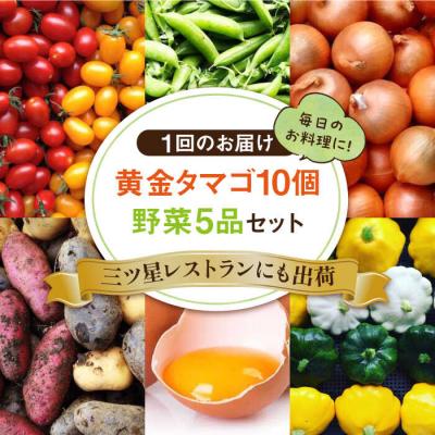 ふるさと納税 糸島市 【全12回定期便】糸島の朝産み黄金タマゴ10個 朝どれ新鮮野菜5品セット 糸島産 [AGE049] |  | 01