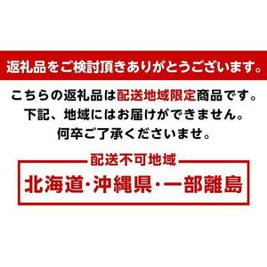 厳選 甘夏柑 4kg+120g（傷み補償分）有田産＜4月より発送＞