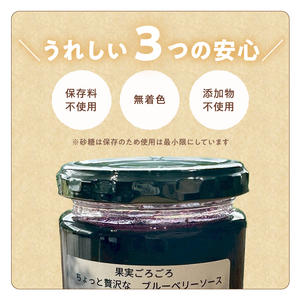 ブルーベリーソース 3本 180g×3