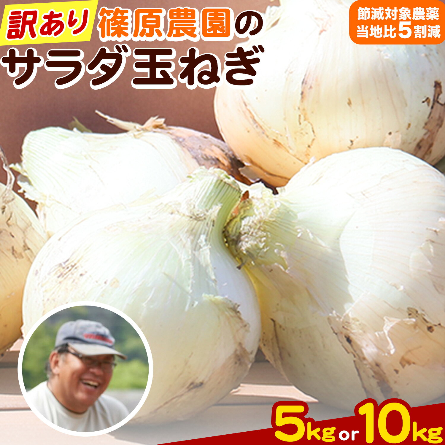 【ふるさと納税】 玉ねぎ 訳あり 節減対象農薬 当地比5割減 サラダ玉ねぎ (S-2Lサイズ) 5kg 10kg《3月下旬-4月下旬頃出荷予定》熊本県 葦北郡 津奈木町 篠原農園 野菜 たまねぎ 自然栽培