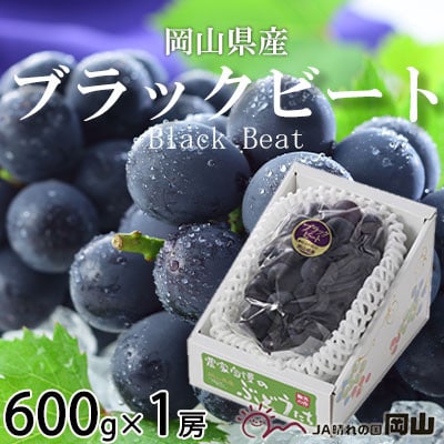 岡山県産 ブラックビート 600g×1房【配送不可地域：離島・北海道・沖縄県】【1399125】