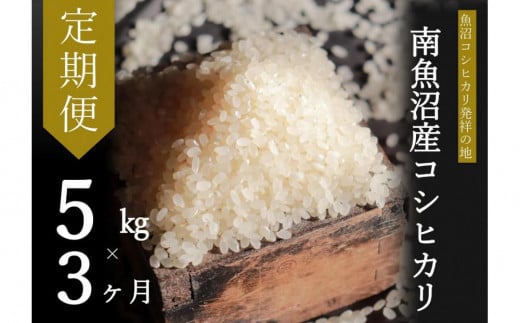 【令和7年産新米予約】【定期便・中旬お届け】5kg×3ヶ月　南魚沼産コシヒカリ【2025年10月中旬より順次発送予定】