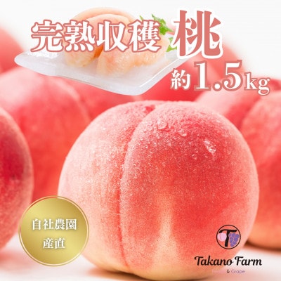 【2026年発送】完熟収穫桃 約1.5kg 山梨県産 自社農園産直!【配送不可地域：離島】