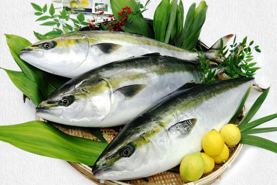 レモンサーモン と あたたブリtoレモン の食べ比べ 瀬戸内海 レモン育ち 広島レモンサーモンとあたたブリtoレモンの詰め合わせ [1640]