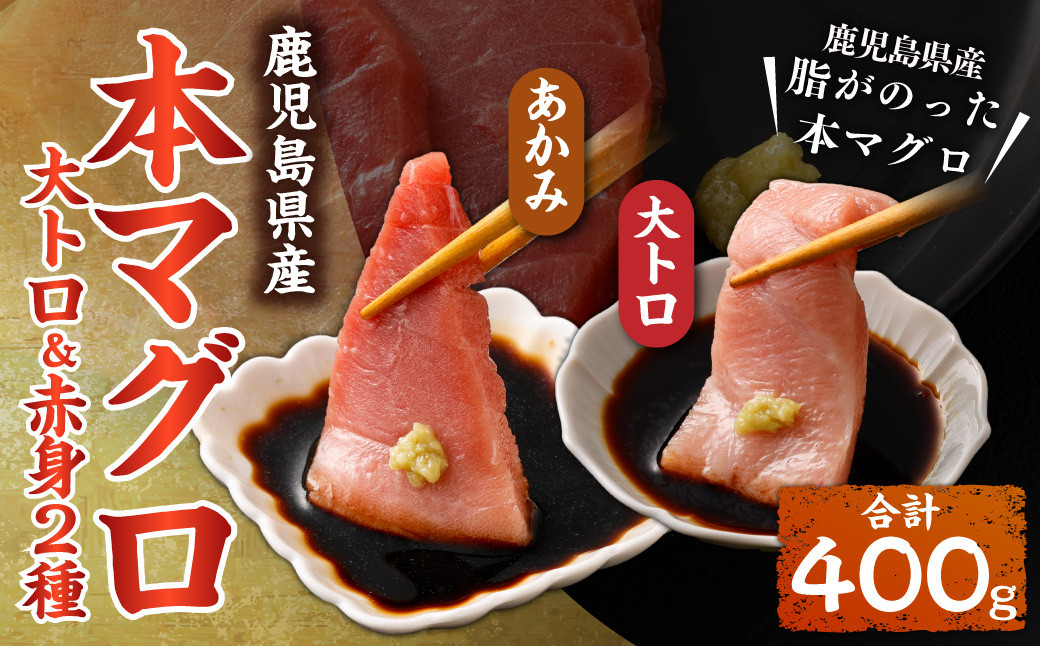 鹿児島県産本マグロ 大トロ＆赤身セット 合計400g 本マグロ 大トロ 赤身 刺し身 セット 魚 _ss1114_CR