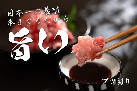 【高知県大月町産 本マグロ】 ブツ切り 300g