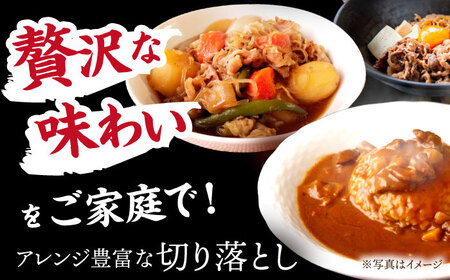 飛騨牛 切り落とし 1kg (250g×4) [TDC013] 牛肉 切り落とし