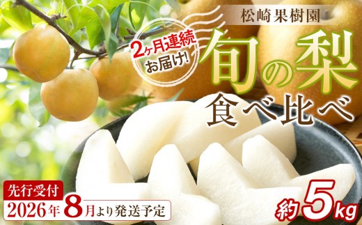 【2026年発送／先行予約】梨 2ヶ月連続お届け 旬の梨食べ比べ 約5kg【松崎果樹園】｜梨 ナシ こだわりの梨 フルーツ 果物 旬の梨 宮城県角田市 約5kg 2回 定期便