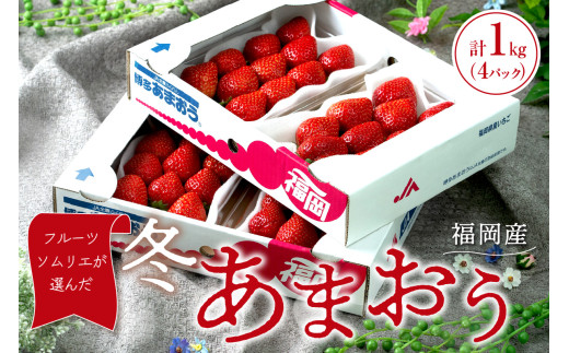 フルーツソムリエが選んだ福岡産【冬】あまおう4パック【011-0089】