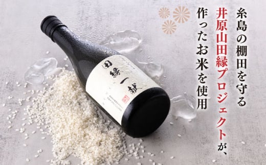 無農薬で育てたお米で作った 日本酒 『田縁一献（でんえんいっこん）』 純米酒 720ml×2本 糸島市 / 田縁プロジェクト [AUM001] 酒 日本酒 純米酒 720ml 2本 セット ギフト 贈