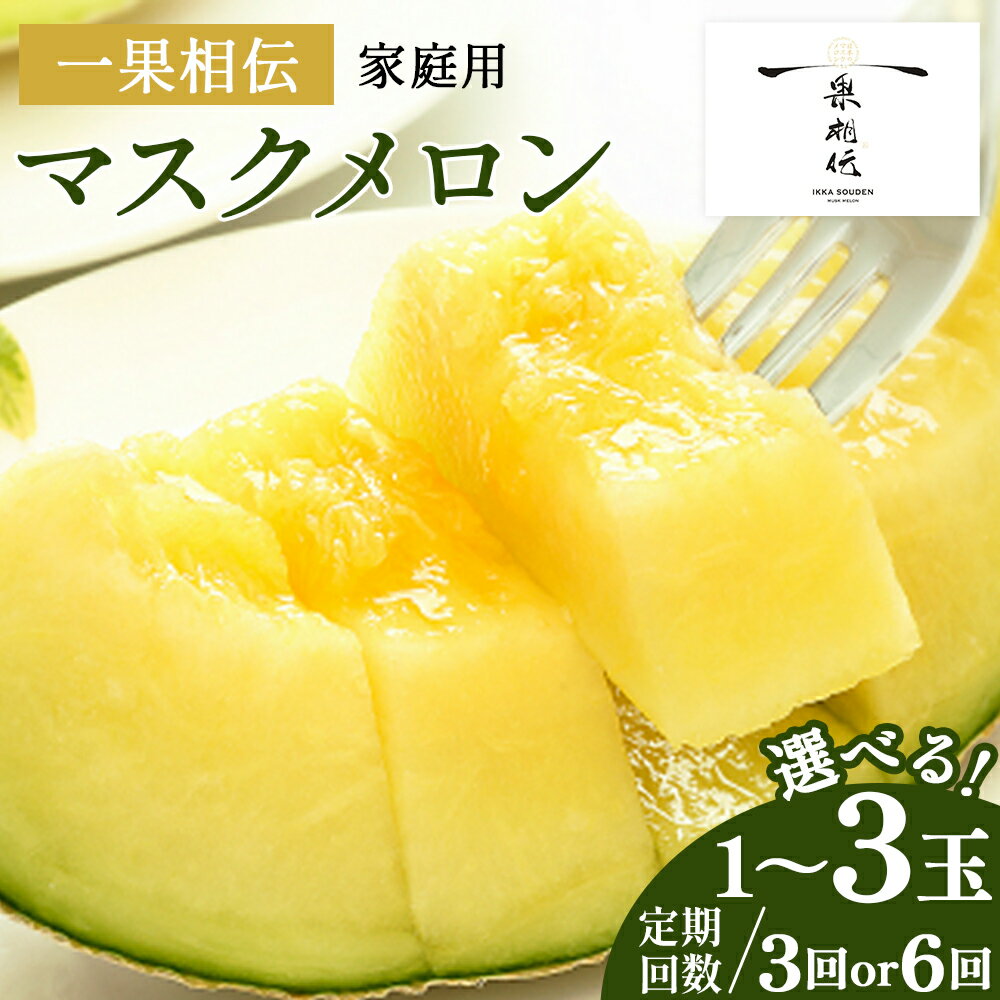 【ふるさと納税】一果相伝 マスクメロン 家庭用 1玉／2玉／3玉 - 選べる 定期便 果物 フルーツ めろん 青肉 自宅用 ジューシー 果汁 至福 美味しい 甘い あまい 篤農 産地直送 高知県 香南市【常温】レビューキャンペーン実施中 ゆずあんぱん風おまんじゅうをお届け