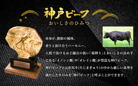 神戸牛 ロースステーキ 500g(250g×2枚) / 牛肉 ステーキ ロース 霜降り ステーキ肉 但馬牛 黒毛和牛 和牛 国産牛 赤身 ステーキ 牛 肉 焼肉 太田牧場 太田牛 神戸ビーフ TYST