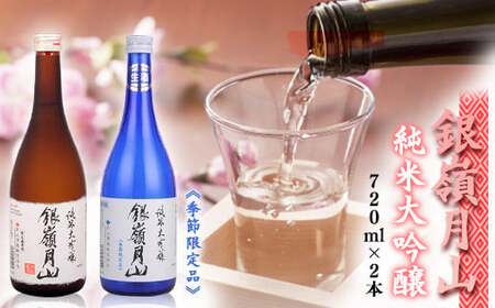 銀嶺月山 純米大吟醸 飲み比べ セット 720ml×2本 火入れ 生酒 【2026年4月頃から7月末頃発送予定】飲み比べ 純米大吟醸 日本酒 酒　018-E-GS014