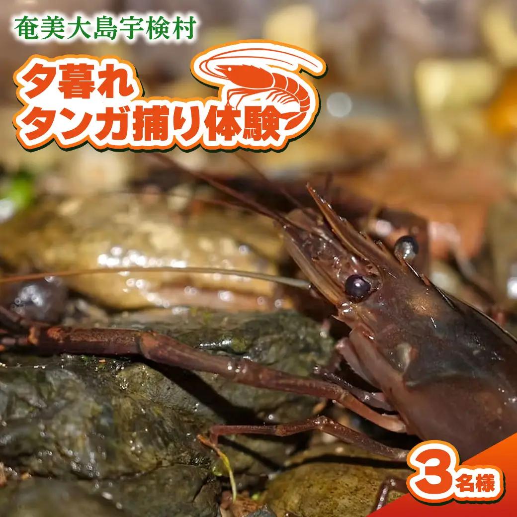夕暮れタンガ捕り 体験 3名様 奄美大島 宇検村 鹿児島県 旅行 自然 冒険 完全プライベート