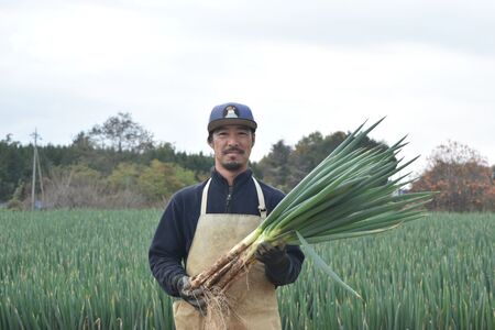 原田さんちのこだわり長ネギ　約　5ｋｇ　【長ネギ　ねぎ　ネギ　料理　野菜　やさい　新鮮　人気　山梨県　山梨　甲斐市　甲斐　農家直送　産地直送】　AD-307