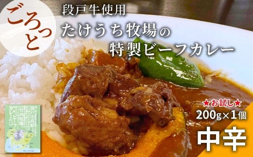 
            お肉ごろっ入った！たけうち牧場のビーフカレー お試し 1個 国産牛 ご当地カレー カレー 中辛 ブランド牛カレー レトルトカレー スパイス 段戸牛カレー  -217
          