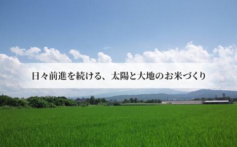 【太陽と大地】八重原産特別栽培米（減農薬・減化学肥料栽培）コシヒカリ玄米1kg