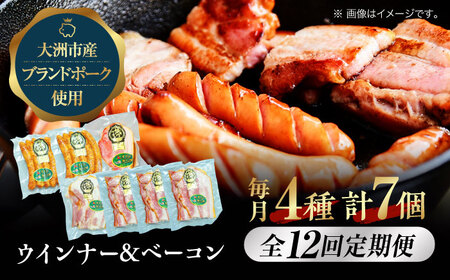 【全12回 定期便 】秒でプラスもう一品！ブランドポーク『オズの箱入り娘』使用！ ベーコン とウィンナーセット（大） 愛媛県大洲市/株式会社オズメッセ[AGAZ024] ベーコン ソーセージ ウインナー ベーコン ソーセージ