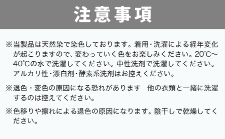 野の色を着る。温泉水・農業廃棄物で染色したショートスリーブＴシャツ AI yellow【Mサイズ】 合同会社nosome《90日以内に順次出荷(土日祝除く)》 送料無料 服 ファッション インナー ギ