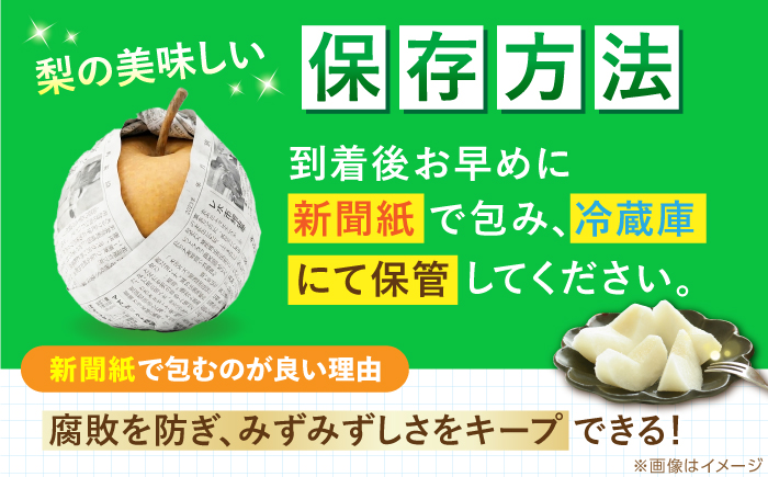【先行予約】 新高梨 約3kg（5玉） 〈2026年9月20日～10月末発送〉 / 高知 針木 新高梨 梨 和梨 果物 フルーツ デザート 【川渕果樹園】 [ATHX002]